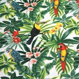 Tissus Tropicaux - tissuspipi.com