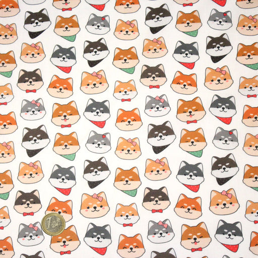Tissu cotonnade KAWAII aux chiens japonais Shiba blancs, gris et roux, noeud papillon & bandanas - OEKO - TEX - tissuspipi.com