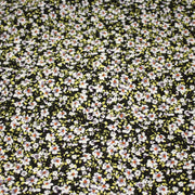 Tissu Viscose crêpe noir fleuri jaune blanc violet orange - tissuspipi.com
