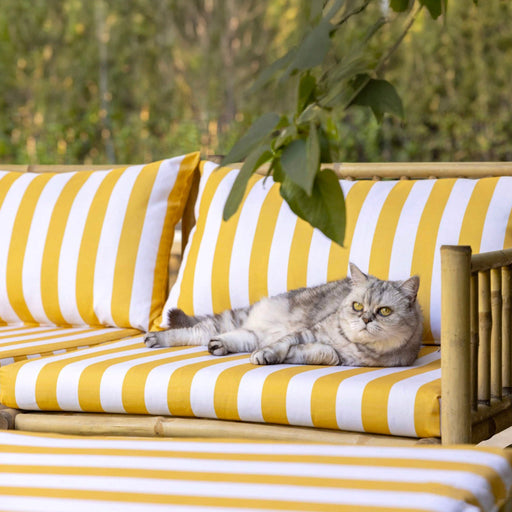 Tissu extérieur larges rayures, 160cm de large : nombreuses couleurs - OEKO - TEX - tissuspipi.com