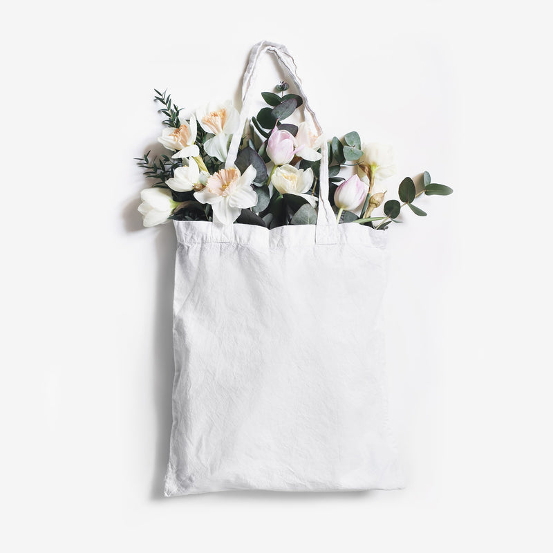 Tissu coton blanc uni - COLLECTION LES BASIQUES - tissuspipi.com